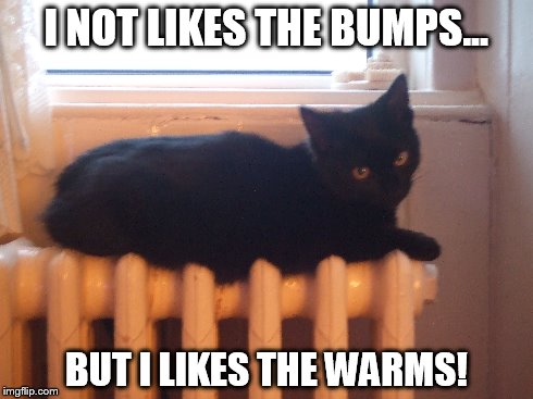 Warm Kitty! | I NOT LIKES THE BUMPS... BUT I LIKES THE WARMS! | image tagged in cats,funny cat,memes | made w/ Imgflip meme maker