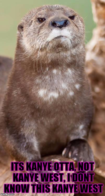 Disapproving Otter - Imgflip