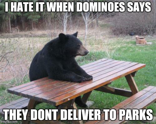 Bad Luck Bear | I HATE IT WHEN DOMINOES SAYS THEY DONT DELIVER TO PARKS | image tagged in memes,bad luck bear | made w/ Imgflip meme maker