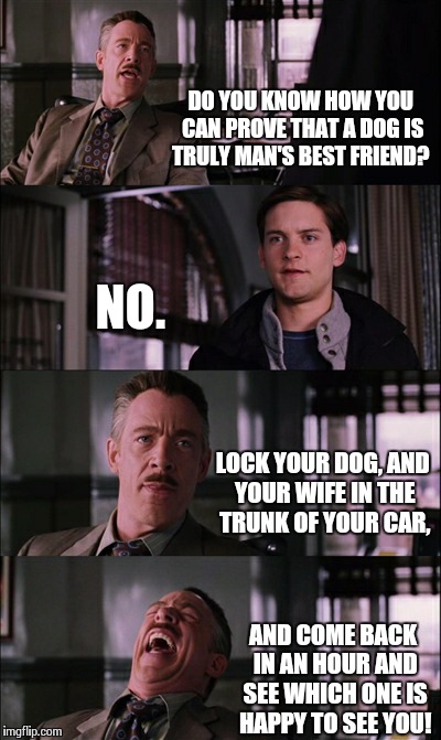 Man's Best Friend | DO YOU KNOW HOW YOU CAN PROVE THAT A DOG IS TRULY MAN'S BEST FRIEND? NO. LOCK YOUR DOG, AND YOUR WIFE IN THE TRUNK OF YOUR CAR, AND COME BAC | image tagged in memes,spiderman laugh | made w/ Imgflip meme maker