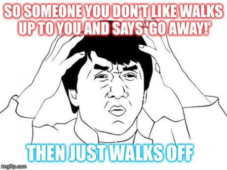 Jackie Chan WTF Meme | SO SOMEONE YOU DON'T LIKE WALKS UP TO YOU AND SAYS 'GO AWAY!' THEN JUST WALKS OFF | image tagged in memes,jackie chan wtf | made w/ Imgflip meme maker