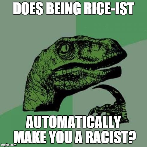 Philosoraptor | DOES BEING RICE-IST AUTOMATICALLY MAKE YOU A RACIST? | image tagged in memes,philosoraptor | made w/ Imgflip meme maker