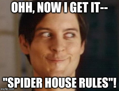 Spiderman Peter Parker Meme | OHH, NOW I GET IT-- "SPIDER HOUSE RULES"! | image tagged in memes,spiderman peter parker | made w/ Imgflip meme maker