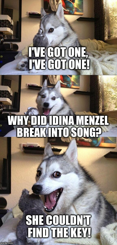 Bad Pun Dog Meme | I'VE GOT ONE, I'VE GOT ONE! WHY DID IDINA MENZEL BREAK INTO SONG? SHE COULDN'T FIND THE KEY! | image tagged in memes,bad pun dog | made w/ Imgflip meme maker