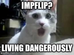 omg cat 2 | IMPFLIP? LIVING DANGEROUSLY | image tagged in omg cat 2 | made w/ Imgflip meme maker