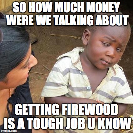 Third World Skeptical Kid Meme | SO HOW MUCH MONEY WERE WE TALKING ABOUT GETTING FIREWOOD IS A TOUGH JOB U KNOW | image tagged in memes,third world skeptical kid | made w/ Imgflip meme maker