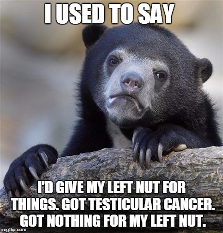 Confession Bear Meme | I USED TO SAY I'D GIVE MY LEFT NUT FOR THINGS. GOT TESTICULAR CANCER. GOT NOTHING FOR MY LEFT NUT. | image tagged in memes,confession bear | made w/ Imgflip meme maker