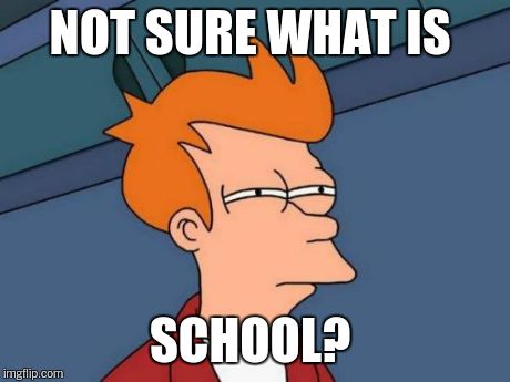Futurama Fry Meme | NOT SURE WHAT IS SCHOOL? | image tagged in memes,futurama fry | made w/ Imgflip meme maker
