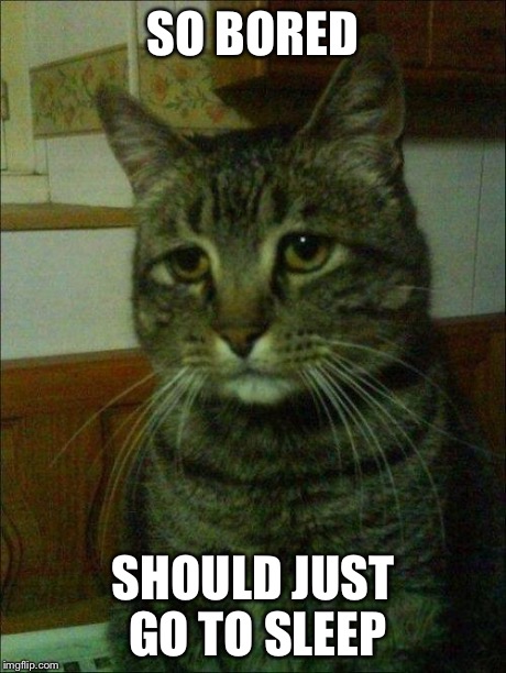 depressed cat | SO BORED SHOULD JUST GO TO SLEEP | image tagged in depressed cat | made w/ Imgflip meme maker