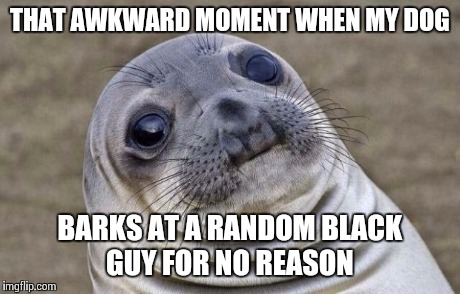 Awkward Moment Sealion | THAT AWKWARD MOMENT WHEN MY DOG BARKS AT A RANDOM BLACK GUY FOR NO REASON | image tagged in memes,awkward moment sealion | made w/ Imgflip meme maker