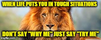 Truth | WHEN LIFE PUTS YOU IN TOUGH SITUATIONS DON'T SAY "WHY ME" JUST SAY "TRY ME" | image tagged in inspiration,truth,lion,strength | made w/ Imgflip meme maker