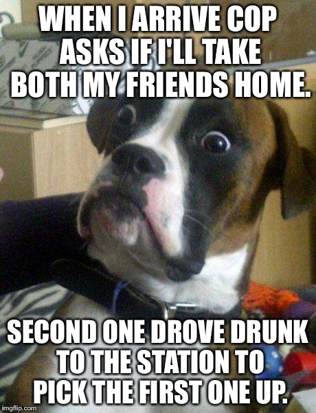 Blankie the Shocked Dog | WHEN I ARRIVE COP ASKS IF I'LL TAKE BOTH MY FRIENDS HOME. SECOND ONE DROVE DRUNK TO THE STATION TO PICK THE FIRST ONE UP. | image tagged in blankie the shocked dog | made w/ Imgflip meme maker