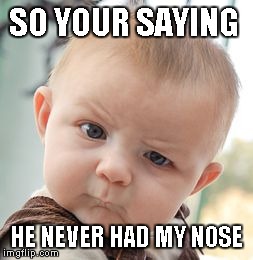 Skeptical Baby | SO YOUR SAYING HE NEVER HAD MY NOSE | image tagged in memes,skeptical baby | made w/ Imgflip meme maker