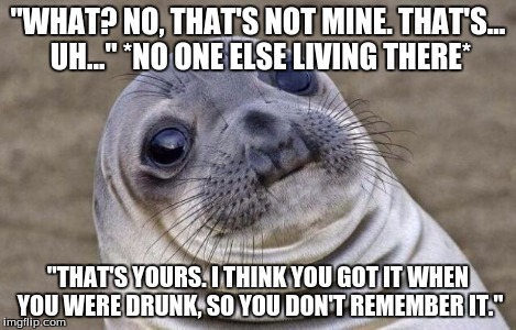 Awkward Moment Sealion Meme | "WHAT? NO, THAT'S NOT MINE. THAT'S... UH..." *NO ONE ELSE LIVING THERE* "THAT'S YOURS. I THINK YOU GOT IT WHEN YOU WERE DRUNK, SO YOU DON'T  | image tagged in memes,awkward moment sealion | made w/ Imgflip meme maker