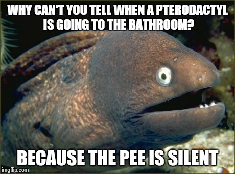 Bad Joke Eel Meme - Imgflip