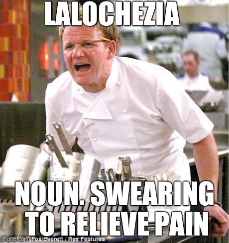 Lalochezia | LALOCHEZIA NOUN. SWEARING TO RELIEVE PAIN | image tagged in memes,chef gordon ramsay,swearing,chef,angry | made w/ Imgflip meme maker