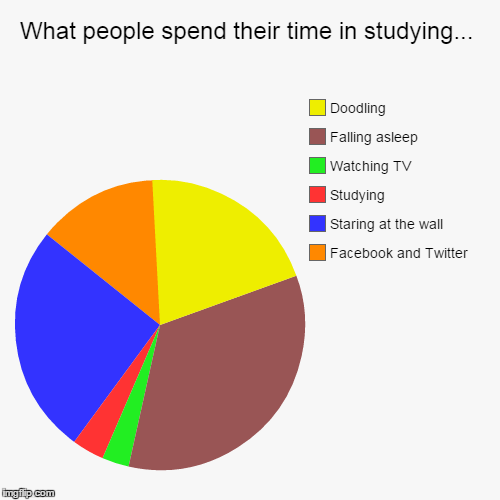 image tagged in funny,pie chart,studying,how do people spen their time in studying | made w/ Imgflip chart maker