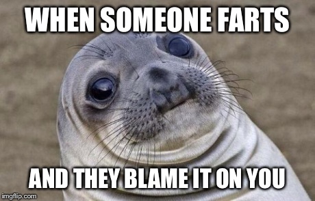 Awkward Moment Sealion | WHEN SOMEONE FARTS AND THEY BLAME IT ON YOU | image tagged in memes,awkward moment sealion | made w/ Imgflip meme maker