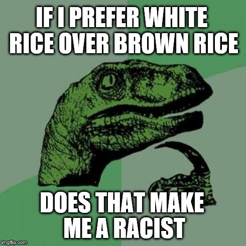 Philosoraptor | IF I PREFER WHITE RICE OVER BROWN RICE DOES THAT MAKE ME A RACIST | image tagged in memes,philosoraptor | made w/ Imgflip meme maker