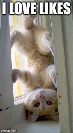 upside down cat | I LOVE LIKES | image tagged in upside down cat | made w/ Imgflip meme maker