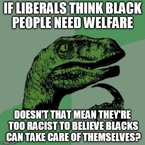 Philosoraptor Meme | IF LIBERALS THINK BLACK PEOPLE NEED WELFARE DOESN'T THAT MEAN THEY'RE TOO RACIST TO BELIEVE BLACKS CAN TAKE CARE OF THEMSELVES? | image tagged in memes,philosoraptor | made w/ Imgflip meme maker