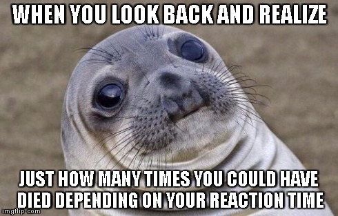 Awkward Moment Sealion | WHEN YOU LOOK BACK AND REALIZE JUST HOW MANY TIMES YOU COULD HAVE DIED DEPENDING ON YOUR REACTION TIME | image tagged in memes,awkward moment sealion | made w/ Imgflip meme maker