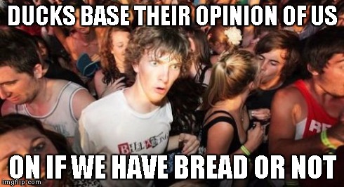 Sudden Clarity Clarence | DUCKS BASE THEIR OPINION OF US ON IF WE HAVE BREAD OR NOT | image tagged in memes,sudden clarity clarence | made w/ Imgflip meme maker