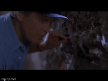 Clark Griswold GIFs