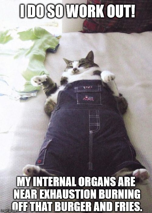Fat Cat | I DO SO WORK OUT! MY INTERNAL ORGANS ARE NEAR EXHAUSTION BURNING OFF THAT BURGER AND FRIES. | image tagged in memes,fat cat | made w/ Imgflip meme maker