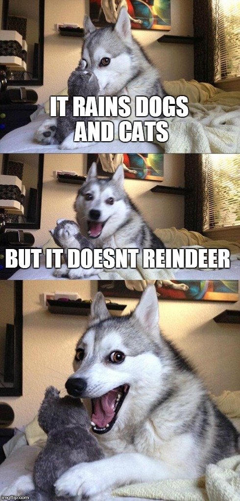 Bad Pun Dog | IT RAINS DOGS AND CATS BUT IT DOESNT REINDEER | image tagged in memes,bad pun dog | made w/ Imgflip meme maker