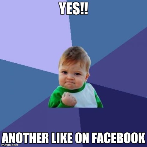 Success Kid Meme | YES!! ANOTHER LIKE ON FACEBOOK | image tagged in memes,success kid | made w/ Imgflip meme maker