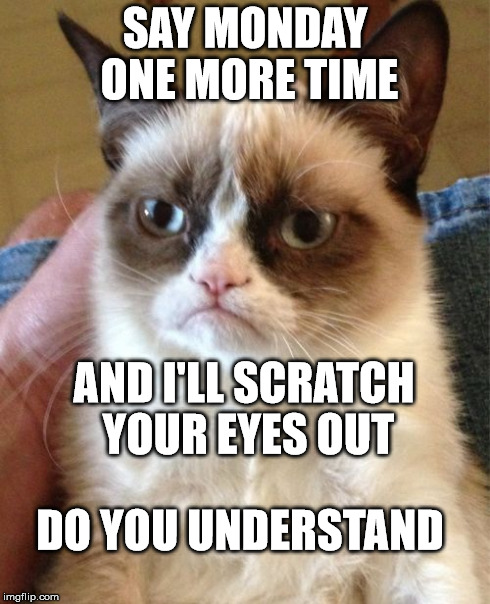 Grumpy Cat Meme | SAY MONDAY ONE MORE TIME AND I'LL SCRATCH YOUR EYES OUT DO YOU UNDERSTAND | image tagged in memes,grumpy cat | made w/ Imgflip meme maker