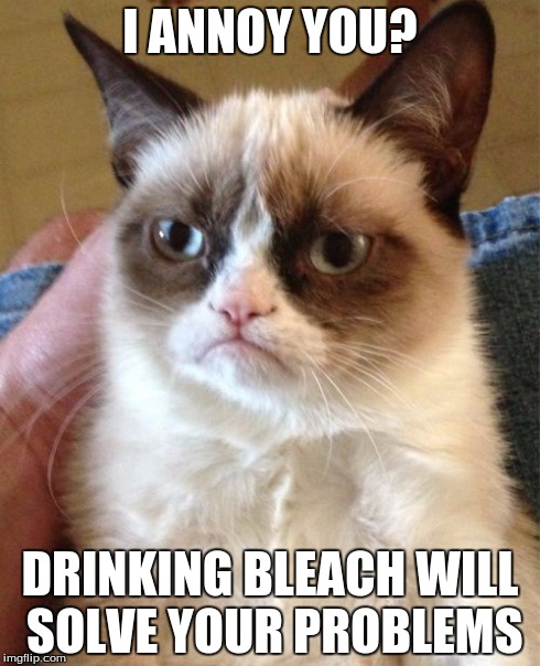 Grumpy Cat | I ANNOY YOU? DRINKING BLEACH WILL SOLVE YOUR PROBLEMS | image tagged in memes,grumpy cat | made w/ Imgflip meme maker