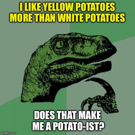 Philosoraptor | I LIKE YELLOW POTATOES MORE THAN WHITE POTATOES DOES THAT MAKE ME A POTATO-IST? | image tagged in memes,philosoraptor | made w/ Imgflip meme maker