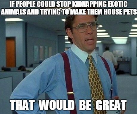 exotic animals | IF PEOPLE COULD STOP KIDNAPPING EXOTIC ANIMALS AND TRYING TO MAKE THEM HOUSE PETS THAT  WOULD  BE  GREAT | image tagged in memes,that would be great | made w/ Imgflip meme maker