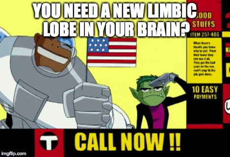 Teen Titans Infomercial | YOU NEED A NEW LIMBIC LOBE IN YOUR BRAIN? | image tagged in teen titans infomercial | made w/ Imgflip meme maker