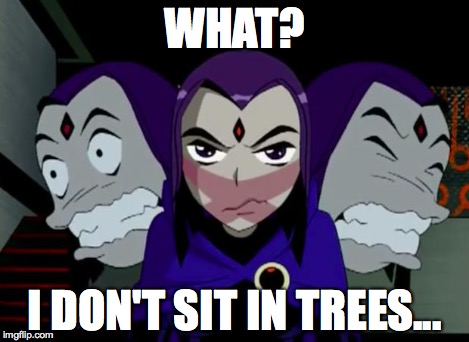 Ow | WHAT? I DON'T SIT IN TREES... | image tagged in ow | made w/ Imgflip meme maker