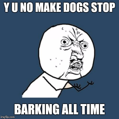 Y U No | Y U NO MAKE DOGS STOP BARKING ALL TIME | image tagged in memes,y u no | made w/ Imgflip meme maker