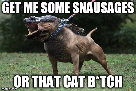 GET ME SOME SNAUSAGES OR THAT CAT B*TCH | made w/ Imgflip meme maker