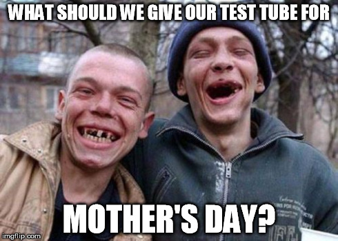 Ugly Twins | WHAT SHOULD WE GIVE OUR TEST TUBE FOR MOTHER'S DAY? | image tagged in memes,ugly twins | made w/ Imgflip meme maker