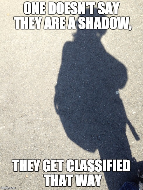 You don't have fate. | ONE DOESN'T SAY THEY ARE A SHADOW, THEY GET CLASSIFIED THAT WAY | image tagged in shadow | made w/ Imgflip meme maker