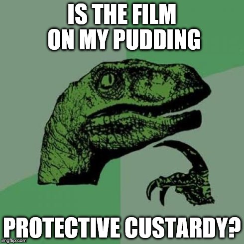 Philosoraptor | IS THE FILM ON MY PUDDING PROTECTIVE CUSTARDY? | image tagged in memes,philosoraptor | made w/ Imgflip meme maker