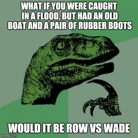 Philosoraptor Meme | WHAT IF YOU WERE CAUGHT IN A FLOOD, BUT HAD AN OLD BOAT AND A PAIR OF RUBBER BOOTS WOULD IT BE ROW VS WADE | image tagged in memes,philosoraptor | made w/ Imgflip meme maker