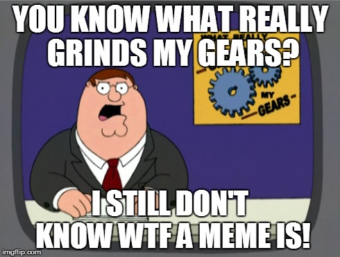 Peter Griffin News | YOU KNOW WHAT REALLY GRINDS MY GEARS? I STILL DON'T KNOW WTF A MEME IS! | image tagged in memes,peter griffin news | made w/ Imgflip meme maker