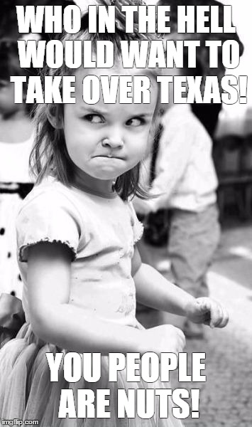 Angry Toddler | WHO IN THE HELL WOULD WANT TO TAKE OVER TEXAS! YOU PEOPLE ARE NUTS! | image tagged in memes,angry toddler | made w/ Imgflip meme maker