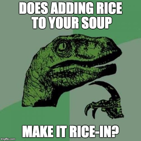 "Did you put rice in my coffee, or ricin?" | DOES ADDING RICE TO YOUR SOUP MAKE IT RICE-IN? | image tagged in memes,philosoraptor | made w/ Imgflip meme maker