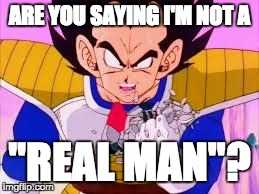 Vageta Over 9000 | ARE YOU SAYING I'M NOT A "REAL MAN"? | image tagged in vageta over 9000 | made w/ Imgflip meme maker