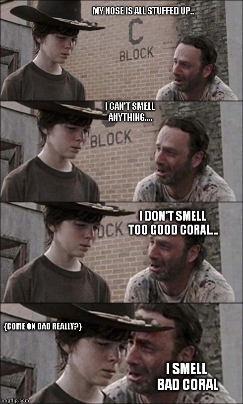 the walking dead coral | MY NOSE IS ALL STUFFED UP.. I CAN'T SMELL ANYTHING.... I DON'T SMELL TOO GOOD CORAL... I SMELL BAD CORAL {COME ON DAD REALLY?} | image tagged in the walking dead coral | made w/ Imgflip meme maker