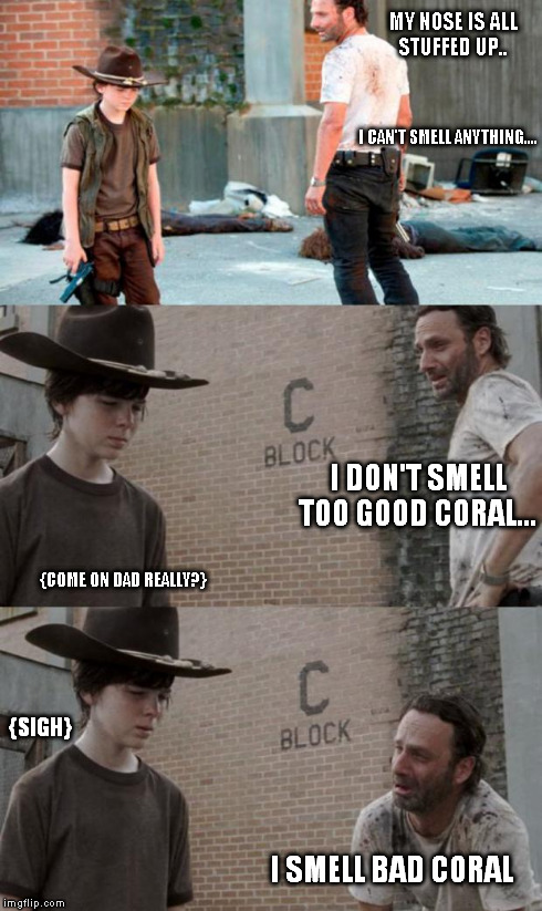Rick and Carl 3 | MY NOSE IS ALL STUFFED UP.. I CAN'T SMELL ANYTHING.... I DON'T SMELL TOO GOOD CORAL... I SMELL BAD CORAL {COME ON DAD REALLY?} {SIGH} | image tagged in memes,rick and carl 3 | made w/ Imgflip meme maker