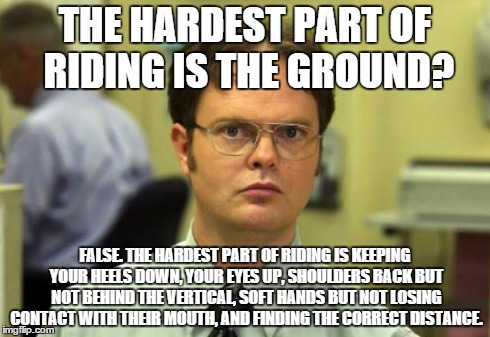 Dwight Schrute Meme | THE HARDEST PART OF RIDING IS THE GROUND? FALSE. THE HARDEST PART OF RIDING IS KEEPING YOUR HEELS DOWN, YOUR EYES UP, SHOULDERS BACK BUT NOT | image tagged in memes,dwight schrute | made w/ Imgflip meme maker